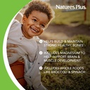 naturesplus-animal-parade-sugar-free-chi-4.jpg