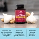ancient-nutrition-collagen-pills-with-pr-4.jpg