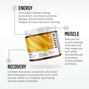 kion-aminos-essential-amino-acids-supple-3.jpg