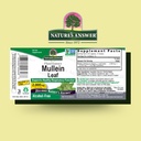 nature-s-answer-mullein-herb-mullein-lea-2.jpg