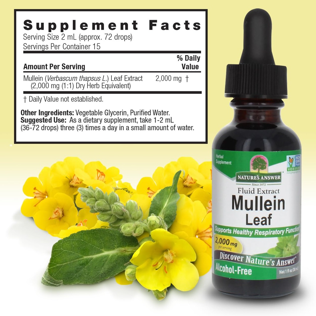 nature-s-answer-mullein-herb-mullein-lea-3.jpg