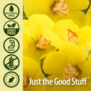 nature-s-answer-mullein-herb-mullein-lea-4.jpg