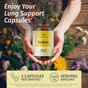 herbamama-mullein-leaf-capsules-1200mg-m-2.jpg