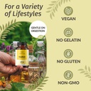 herbamama-mullein-leaf-capsules-1200mg-m-5.jpg
