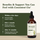 sandhu-s-mullein-drops-for-lungs-mullein-3.jpg