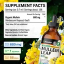 bio-krauter-mullein-drops-for-lungs-4-fl-4.jpg