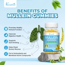 mullein-gummies-mullein-leaf-extract-for-4.jpg