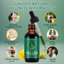 mullein-drops-for-lungs-natural-mullein--5.jpg