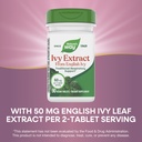 nature-s-way-ivy-extract-from-english-iv-4.jpg