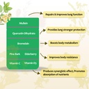 mullein-gummies-with-3000mg-mullein-leaf-2.jpg