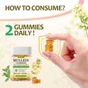 mullein-gummies-with-3000mg-mullein-leaf-4.jpg