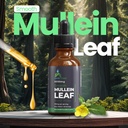 mullein-leaf-extract-drops-2-fl-oz-60ml--2.jpg