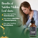 mullein-leaf-extract-drops-2-fl-oz-60ml--4.jpg