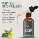 mullein-leaf-extract-drops-2-fl-oz-60ml--6.jpg