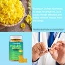 2-pack-2000mg-mullein-gummies-sugar-free-5.jpg