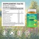 2-pack-2000mg-mullein-gummies-sugar-free-2.jpg