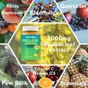 2-pack-2000mg-mullein-gummies-sugar-free-3.jpg