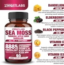 all-in-1-8885mg-highest-potency-sea-moss-4.jpg
