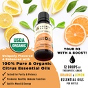 organic-liquid-vitamin-d-drops-for-kids--5.jpg