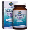 garden-of-life-prenatal-vitamin-folate-e-5.jpg