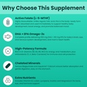shifaa-nutrition-halal-prenatal-vitamins-3.jpg