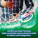 sal-de-uvas-picot-effervescentl-powder-s-6.jpg