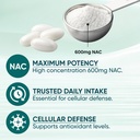 the-standard-lab-nac-600mg-nad-daily-com-5.jpg