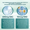 the-standard-lab-nac-600mg-nad-daily-com-4.jpg