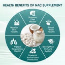the-standard-lab-nac-600mg-nad-daily-com-3.jpg