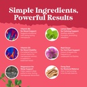 bundle-of-total-menopause-supplement-hot-6.jpg