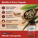 dailynutra-ksm-66-ashwagandha-600mg-orga-4.jpg
