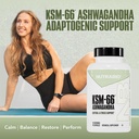 nutrabio-ashwagandha-ksm-66-ashwaganda-h-2.jpg