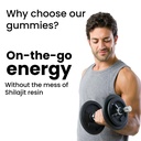better-alt-pure-himalayan-shilajit-gummi-4.jpg