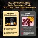 better-alt-pure-himalayan-shilajit-gummi-6.jpg