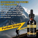 shilajit-pure-himalayan-organic-resin-dr-6.jpg