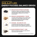 dlnia-13-in-1-shilajit-gummies-with-ksm--5.jpg
