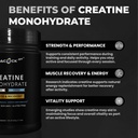 creatine-monohydrate-powder-500g-5g-per--2.jpg