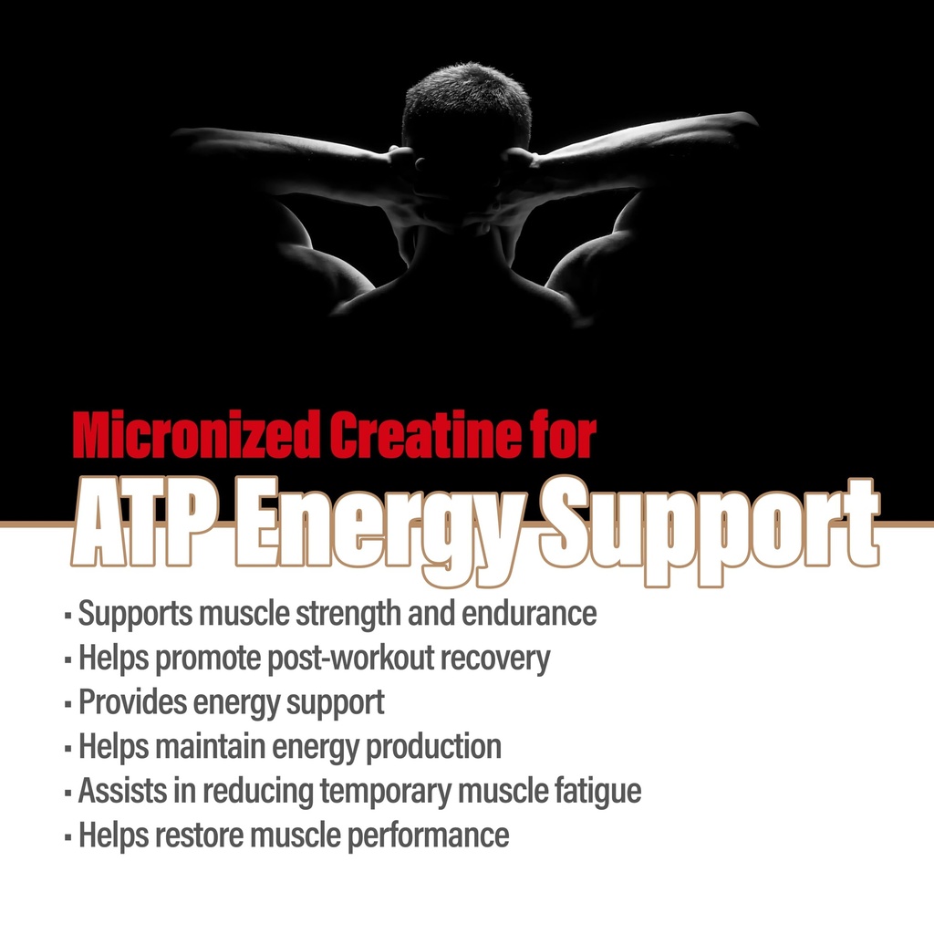 100-pure-creatine-monohydrate-powder-60--3.jpg