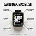 nutrabio-carbomax-maltodextrin-powder-ca-3.jpg