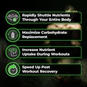 species-nutrition-carbolyze-carbohydrate-4.jpg