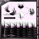sofenida-lash-clusters-kit-80d-lash-clus-3.jpg