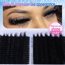 coruscate-lash-clusters-160d-260d-eyelas-2.jpg