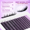 eydevro-wispy-lash-clusters-natural-eyel-4.jpg