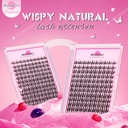 moonkali-natural-lash-clusters-wispy-eye-6.jpg