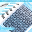 pawotence-wispy-lash-clusters-natural-cl-5.jpg