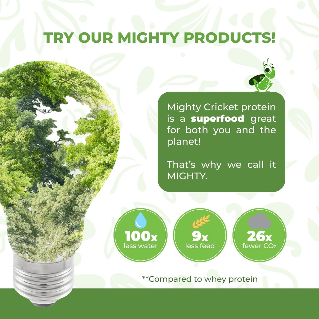 mighty-cricket-protein-powder-20g-clean--6.jpg