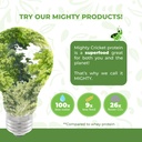 mighty-cricket-protein-powder-20g-clean--6.jpg