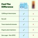 feel-goods-hydration-hero-sugar-free-ele-3.jpg