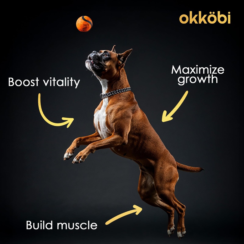11-in-1-muscle-gain-chews-weight-gain-su-5.jpg