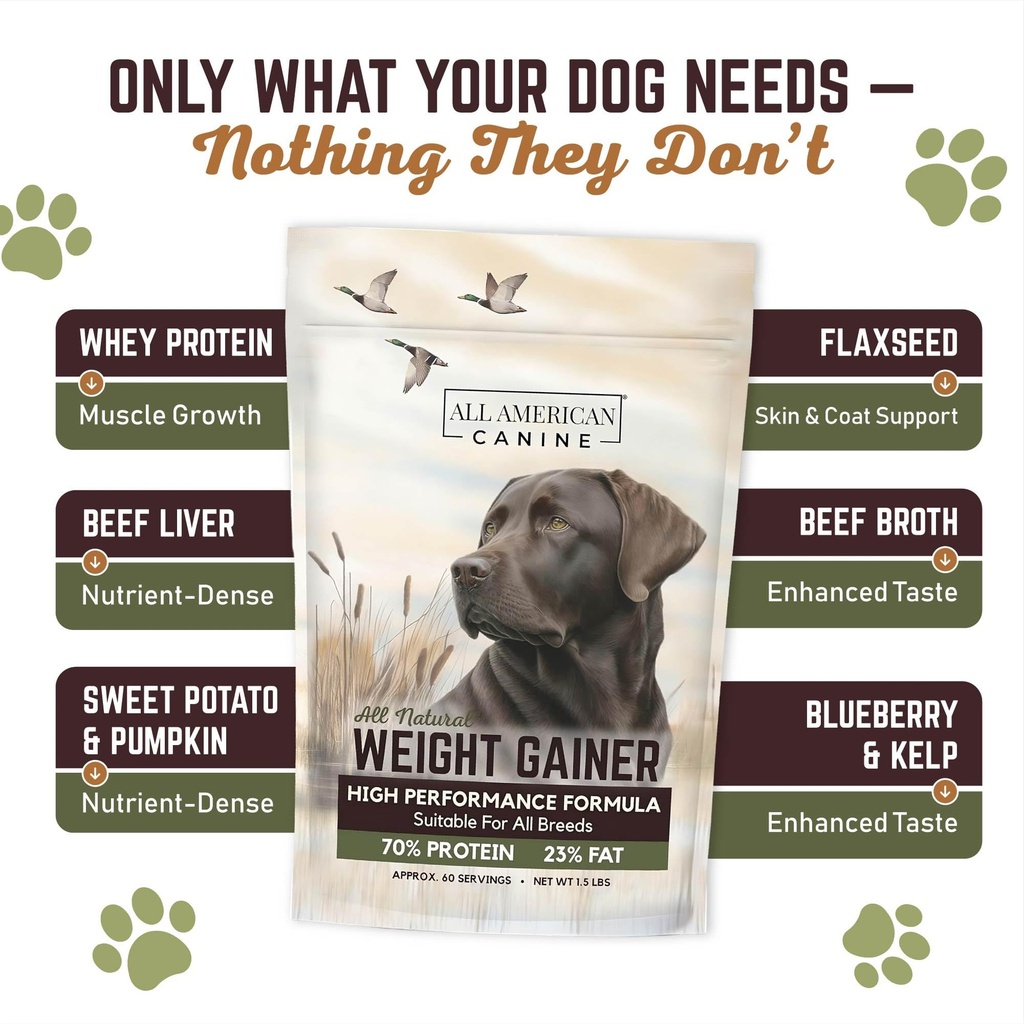 all-american-canine-dog-weight-gainer-hi-3.jpg